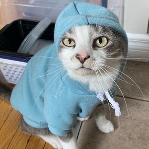 Meet your Posher, Lexi